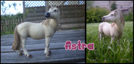 astra.jpg